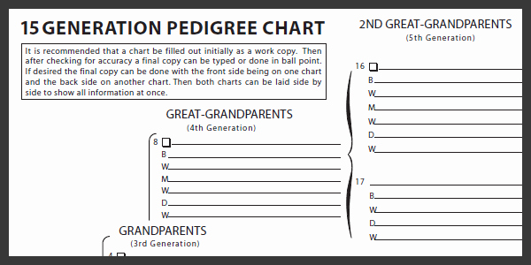 Free Pedigree Chart Template Best Of Genealogy Charts to Print Slide2 Printable Pages