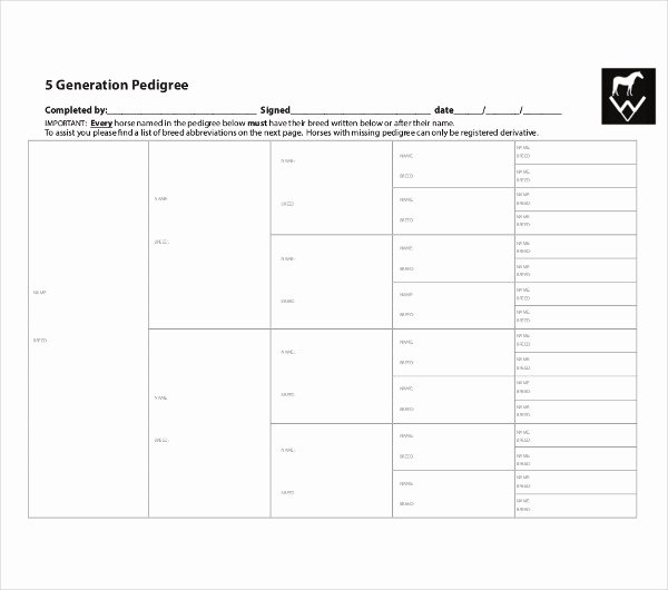 Free Pedigree Chart Template Fresh Download org Chart Excel Template