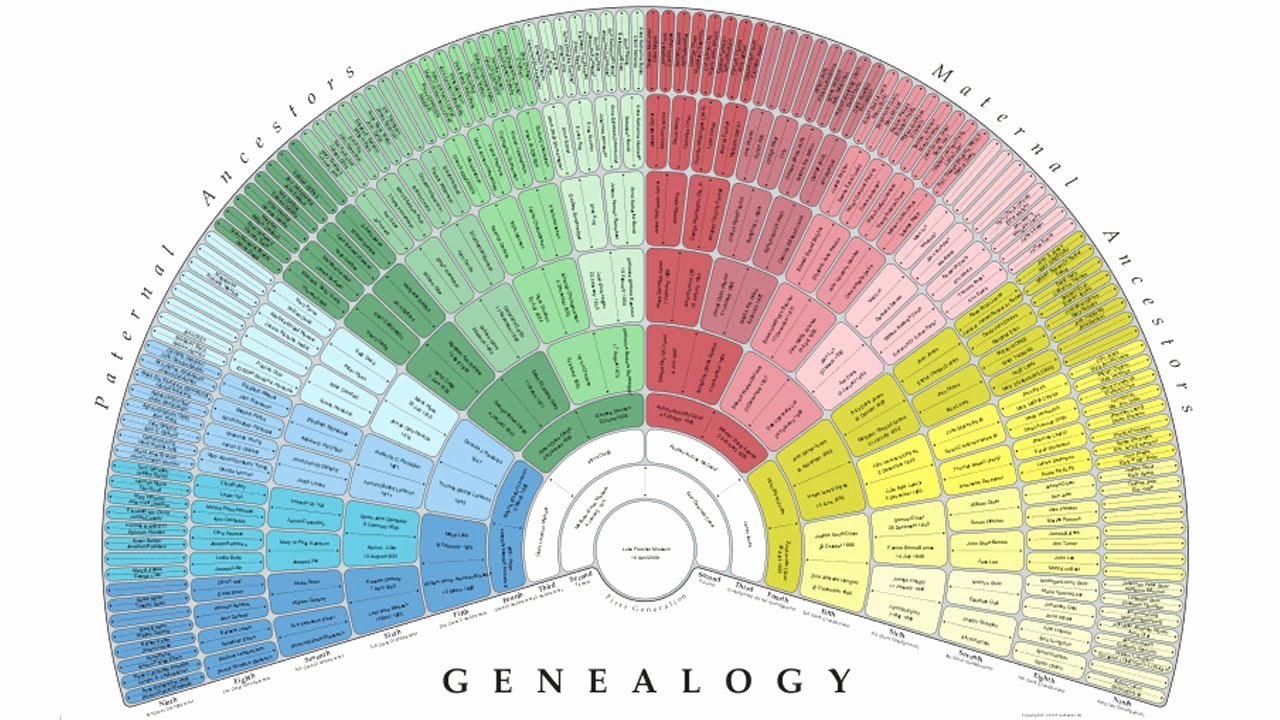 Free Pedigree Chart Template Inspirational Create A Free Genealogy Fan Chart with Treeseek