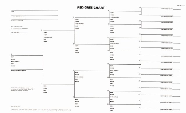 Free Pedigree Chart Template Luxury Pedigree Chart 5 Generation Legal Size 100 Pack