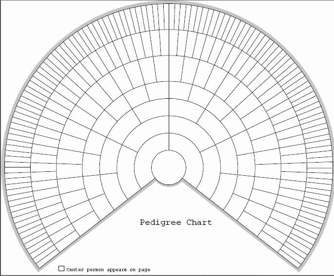 Free Pedigree Chart Template New Genealogy Trot who are the Members Of Your Family 52