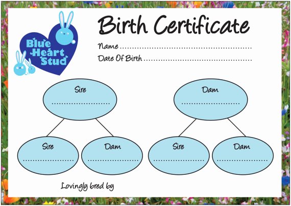 Free Printable Dog Birth Certificate Fresh Items Similar to Printable Pet Stud Logo Design Birth