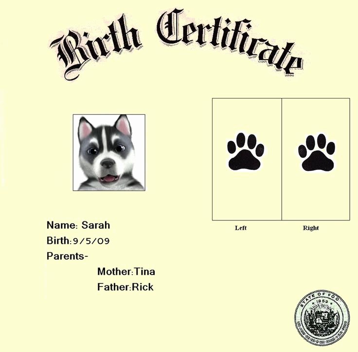 Free Printable Dog Birth Certificate Lovely 1000 Images About Puppy On Pinterest