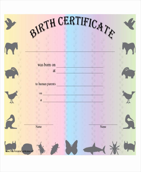 Free Printable Dog Birth Certificate Lovely 26 Printable Certificate Templates