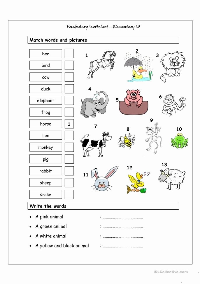 Free Printable Vocabulary Worksheets Elegant Vocabulary Matching Worksheet Elementary 1 5 Animals