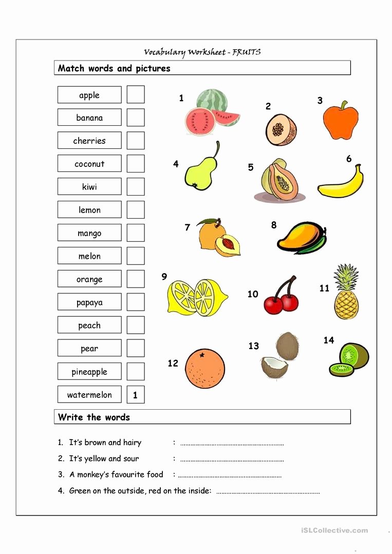 Free Printable Vocabulary Worksheets Unique Vocabulary Matching Worksheet Fruit Worksheet Free Esl