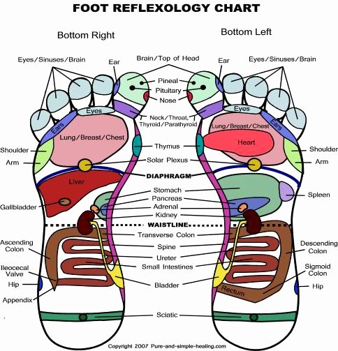 Free Reflexology Foot Chart Elegant Naturallysta Baby Constipation