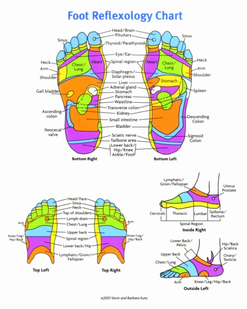 Free Reflexology Foot Chart Fresh 31 Printable Foot Reflexology Charts &amp; Maps Template Lab