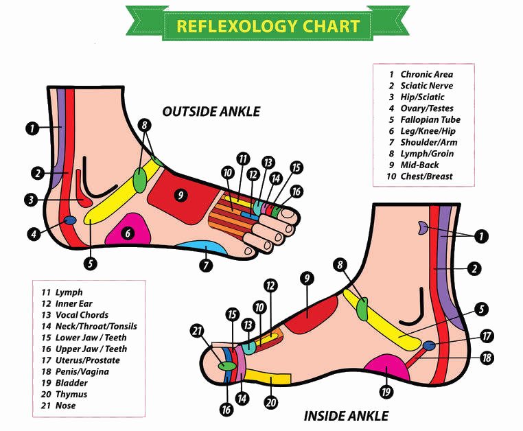 Free Reflexology Foot Chart Inspirational Free Reflexology Charts Points for Specific Ailments
