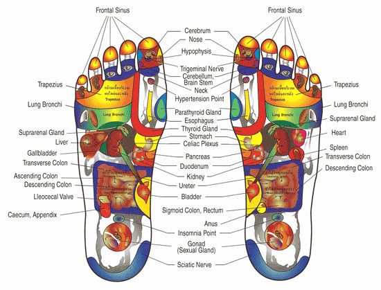 Free Reflexology Foot Chart Inspirational Reflexology
