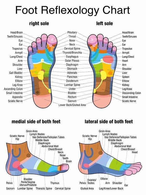 Free Reflexology Foot Chart Lovely 13 Reasons to Give Yourself A Foot Massage &amp; How to Do It