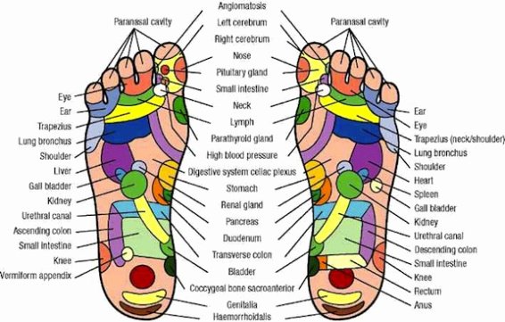 Free Reflexology Foot Chart Lovely Lyme Disease and the Benefits Of Reflexology