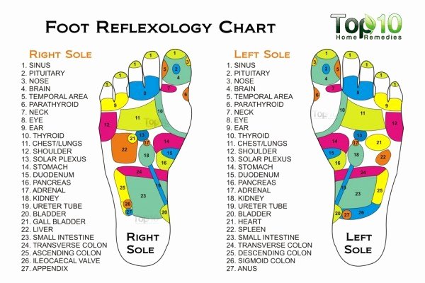 Free Reflexology Foot Chart Unique 10 Health Benefits Of Reflexology as An Alternative