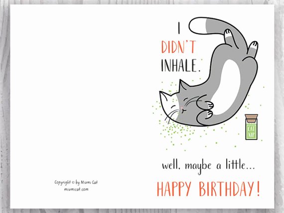 Funny Birthday Card Printable Awesome Printable Birthday Cards Funny Cat Birthday Cards Stoner
