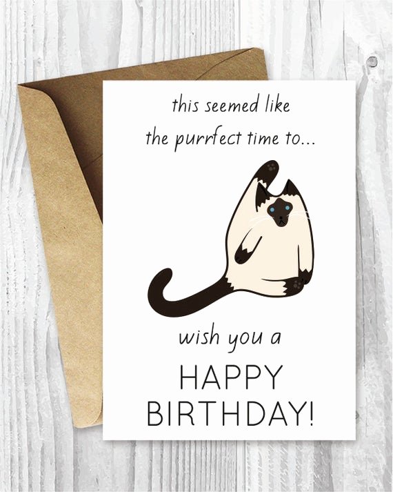 Funny Birthday Cards Printable Luxury Funny Birthday Cards Printables Funny Siamese Cat Birthday