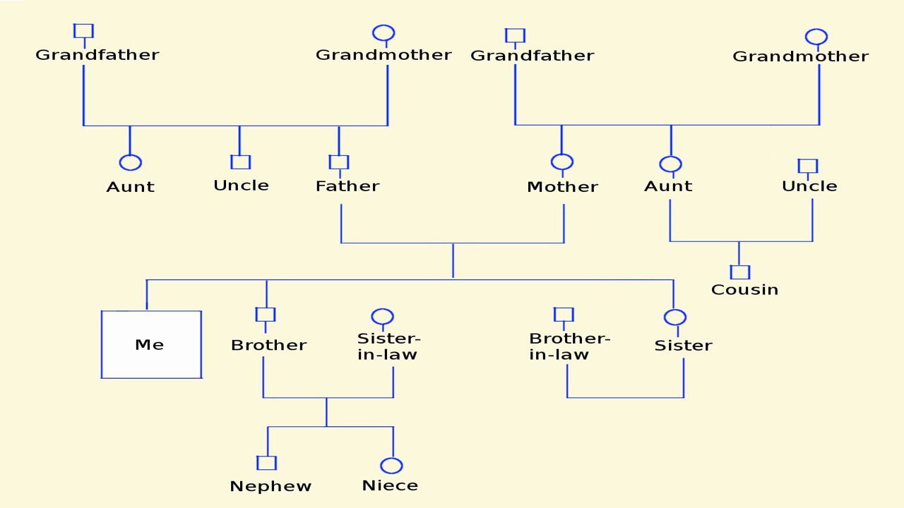 Genogram Template Microsoft Word New How to Make A Genogram Using Microsoft Word