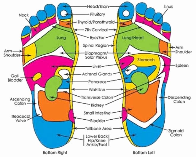 Hand and Foot Reflexology Chart Awesome 17 Best Ideas About Foot Pressure Points On Pinterest
