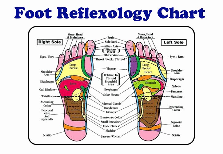 Hand and Foot Reflexology Chart Best Of Reflexology Gold Coast where to Find the Best Foot therapy