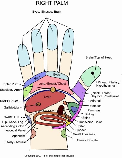 Hand and Foot Reflexology Chart Lovely Hand Reflexology Chart