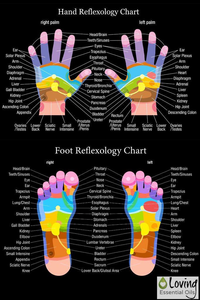 Hand and Foot Reflexology Chart New Hand and Foot Reflexology Chart S and