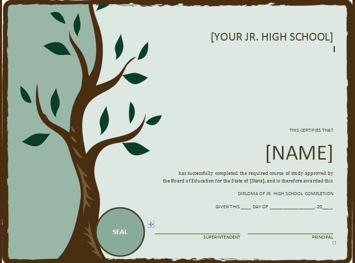 High School Diploma Template Word Awesome 10 Training Certificate Templates