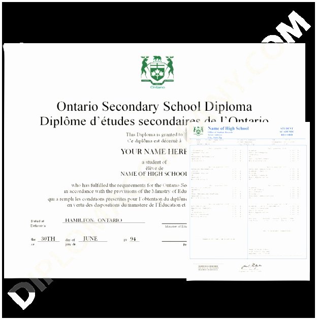 High School Diploma Template Word Awesome 5 High School Diploma Template with Seal Ioryu