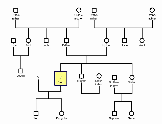 How to Create A Genogram Beautiful Download 10 Free Genogram Templates &amp; Examples Xdesigns