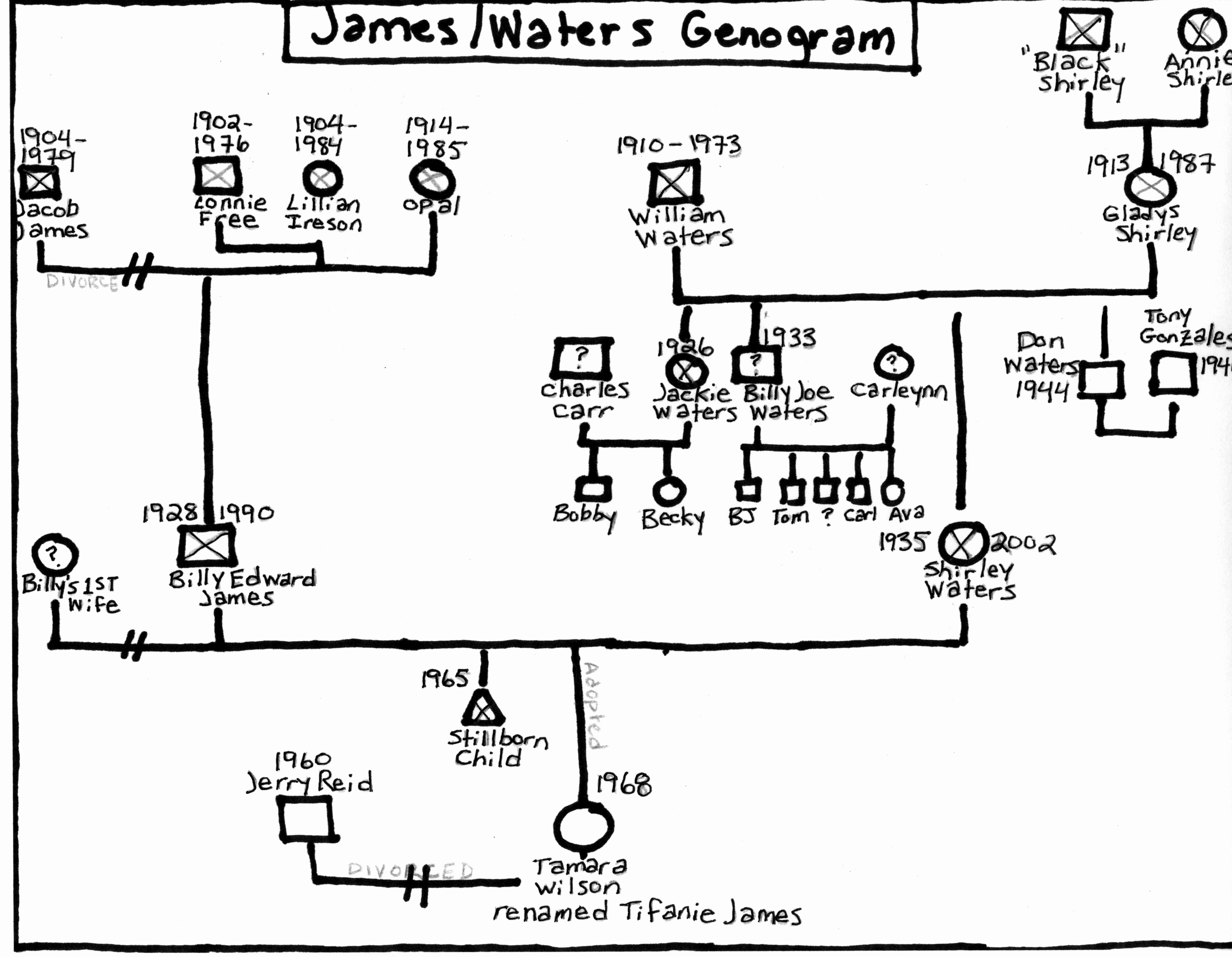 How to Create A Genogram New My Culture