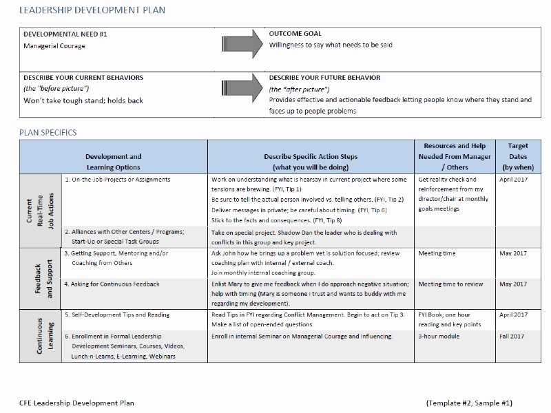 30 Individual Development Plan Sample Example Document Template