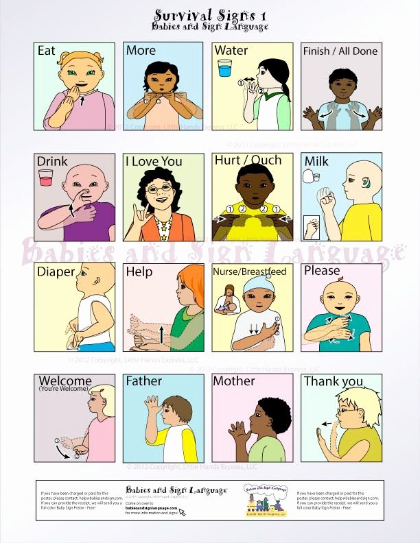 Infant Sign Language Chart Inspirational Chart On Psalms 23 Another Baby Sign Chart