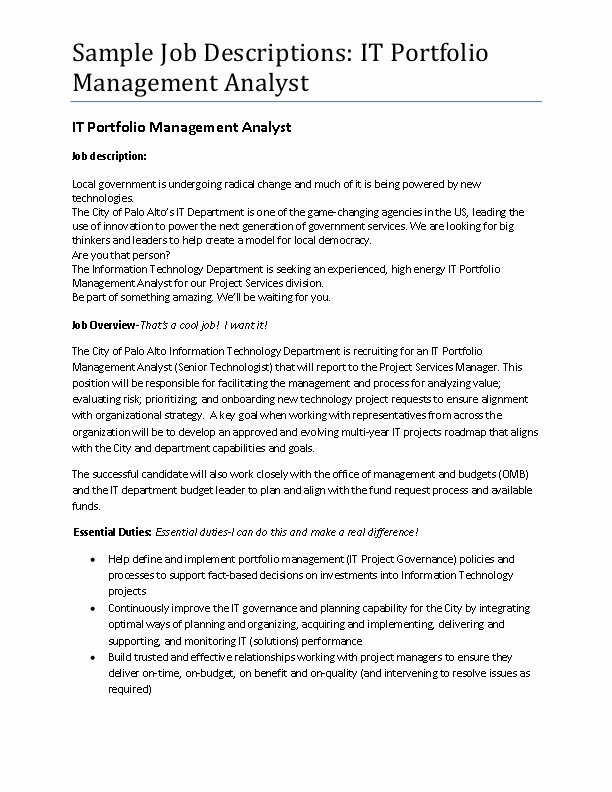 Job Description format Doc Elegant Sample It Portfolio Management Analyst Job Description