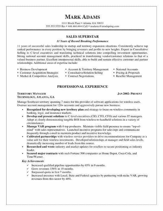 Key Account Manager Resume Unique Sales Account Manager Resume Example