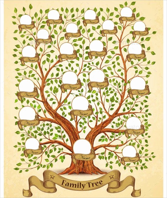 Large Family Tree Template Luxury Best 25 Family Tree Templates Ideas On Pinterest