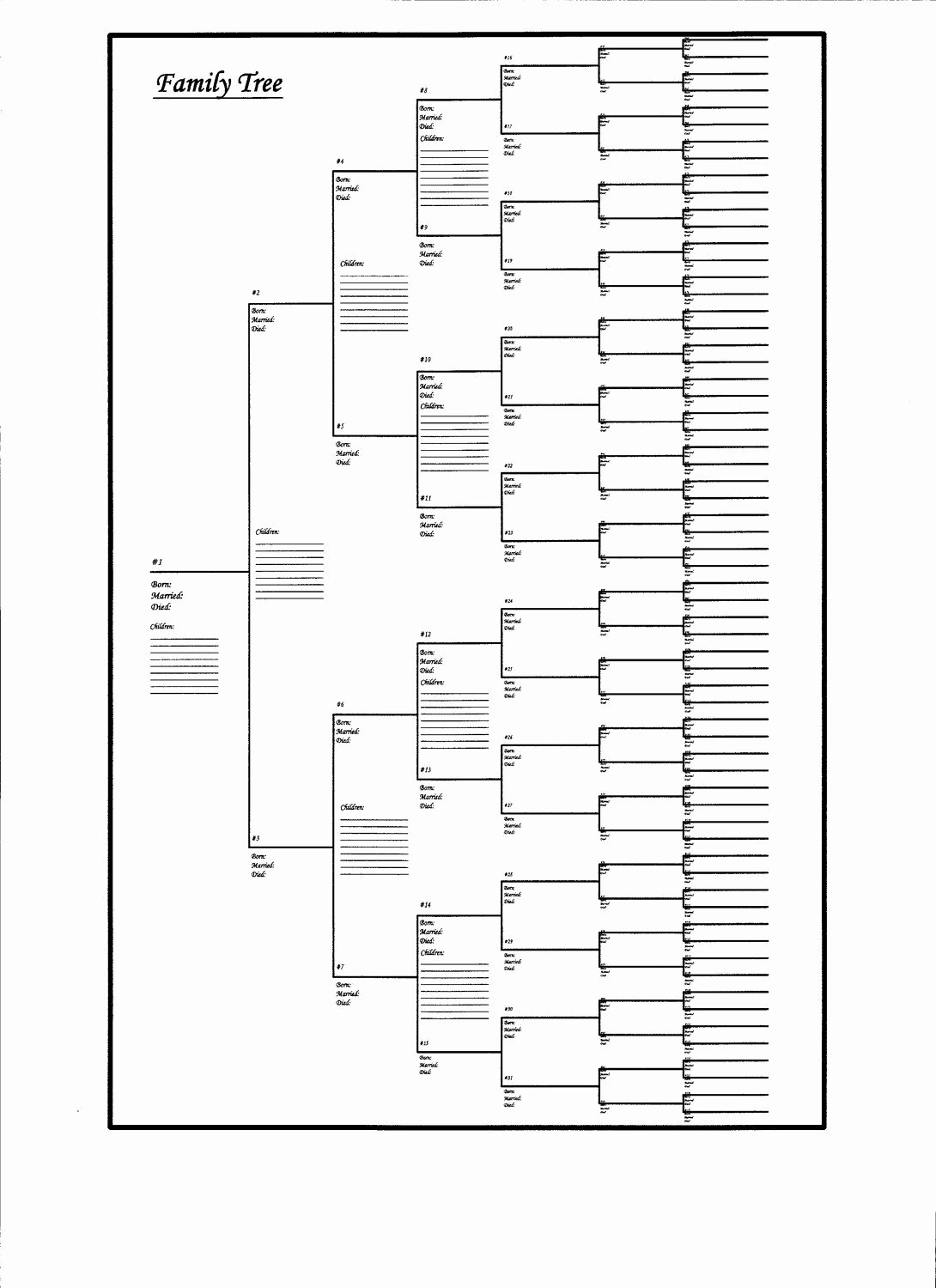 Large Family Tree Templates Elegant 5 Pack Of Family Tree Charts Bracket Style 18 X