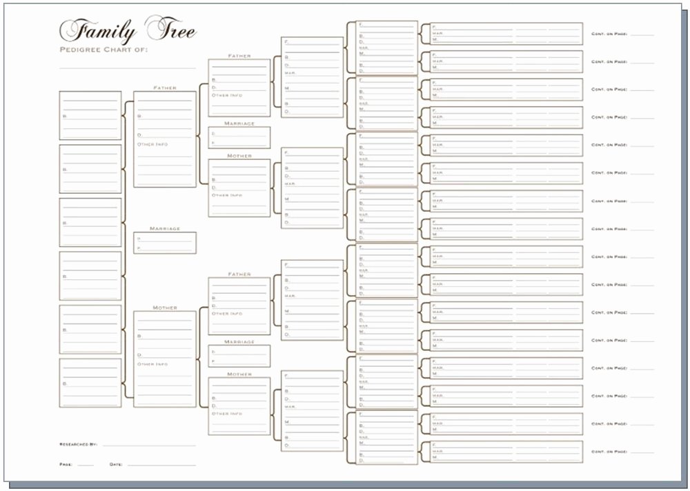 Large Family Tree Templates Unique A3 Six Generation Family Tree Chart Pedigree Pack Of 3