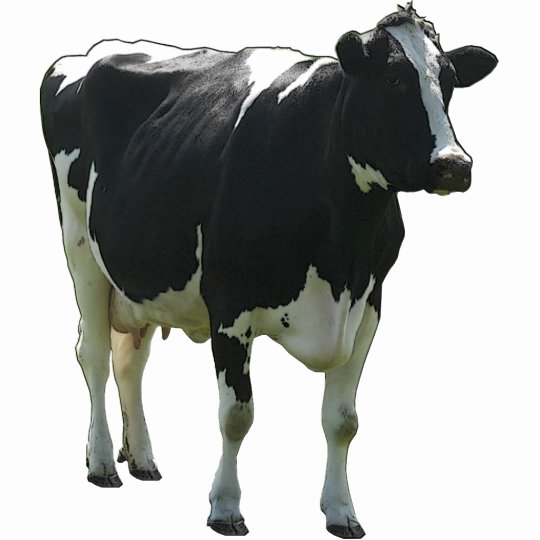 Large Farm Animal Cutouts New Cow Sculpture
