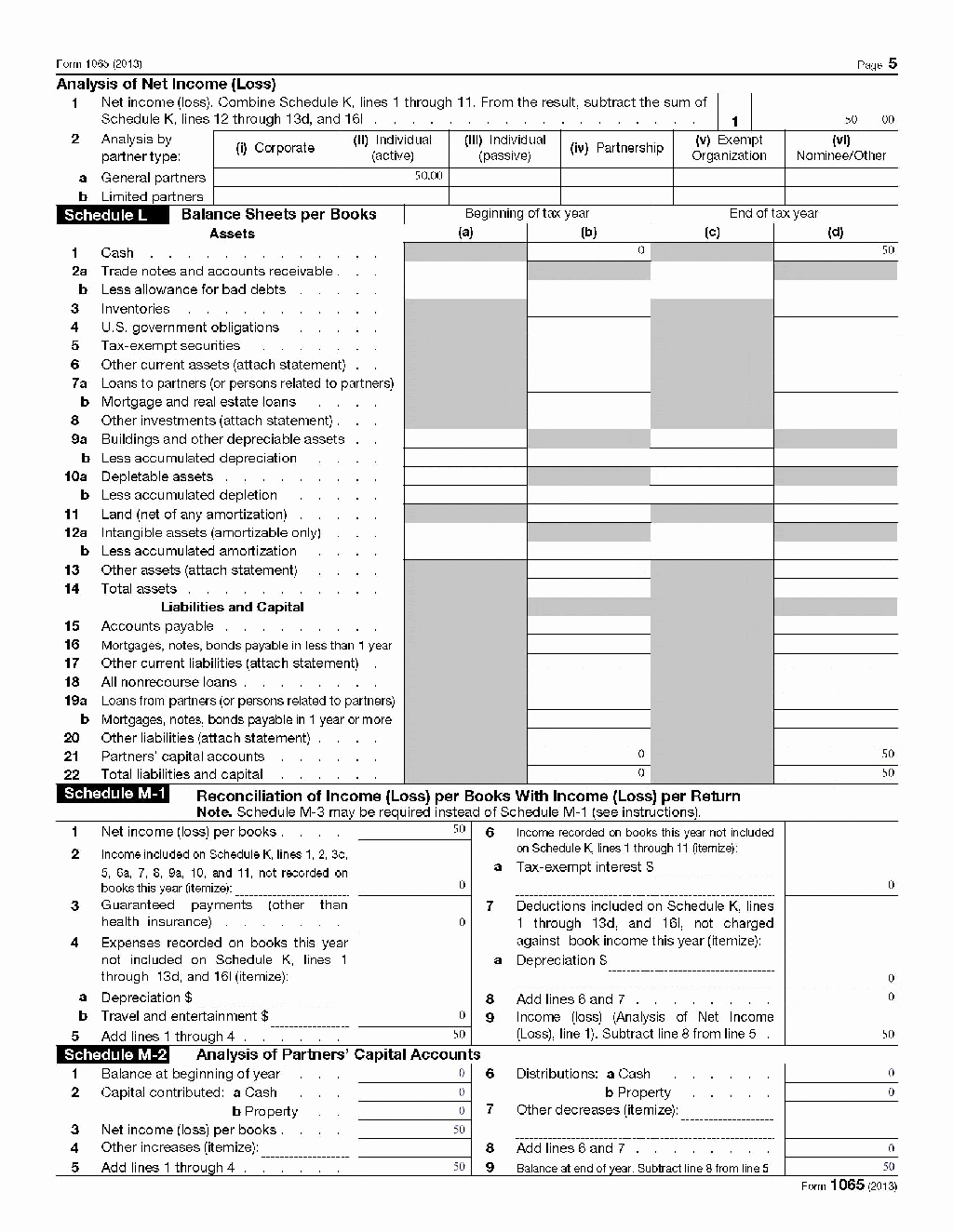 Llc Capital Account Spreadsheet Beautiful How to Fill Out An Llc 1065 Irs Tax form