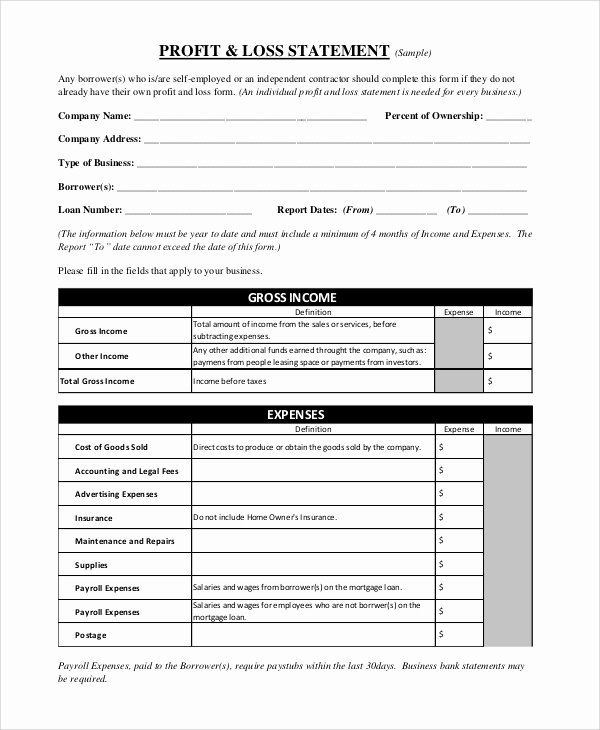 Loss and Profit forms Awesome Profit and Loss Statement Sample 10 Examples In Pdf Excel