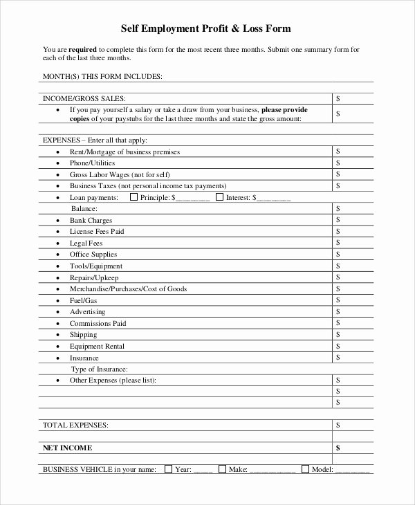 Loss and Profit forms Best Of Sample Profit and Loss form 9 Examples In Pdf Word