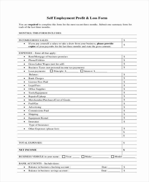 Loss and Profit forms Lovely Free 9 Sample Profit and Loss forms