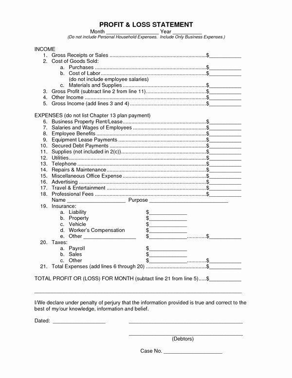 Loss and Profit forms Luxury Profit and Loss Statement form Sample forms