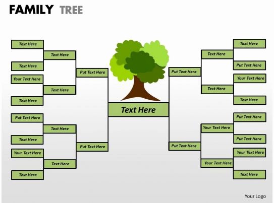 Medical Family Tree Template Best Of Family Tree 1 18 Powerpoint Presentation Templates