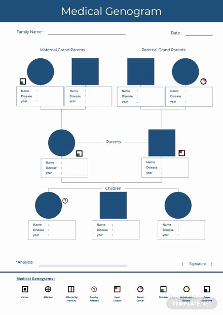 Medical Family Tree Template New Basic Genogram Template Download 38 Family Trees In Word