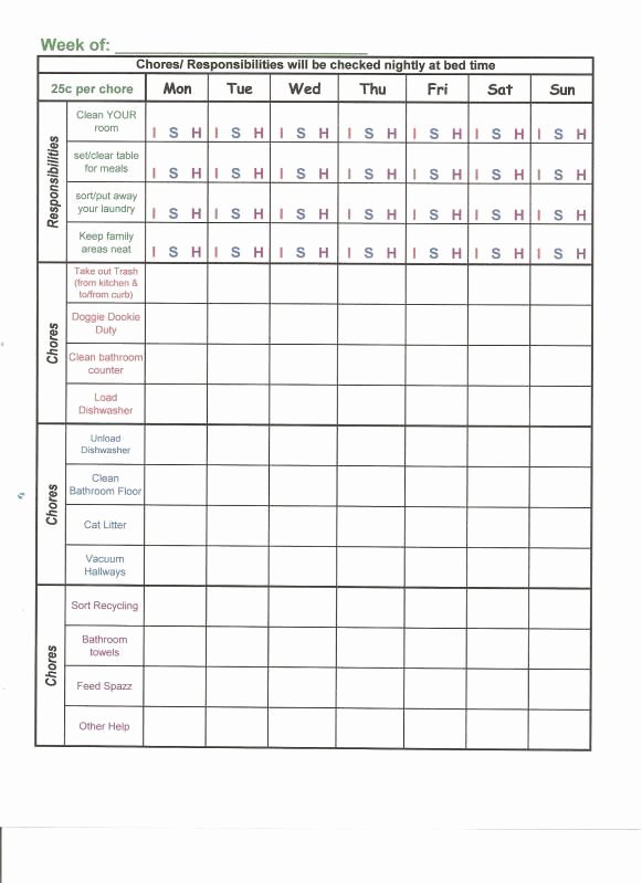 Multiple Children Chore Chart Inspirational Chore System for Multiple Children Babycenter