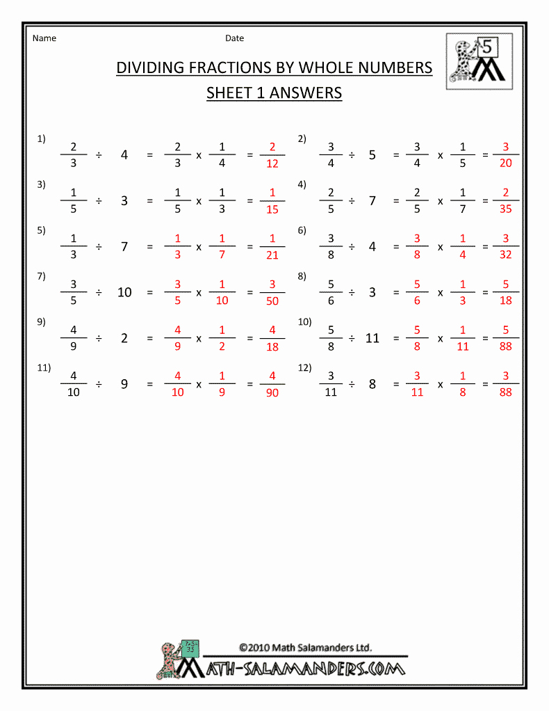 Multiplying Fractions Worksheets with Answers Fresh Worksheet Multiplying Fractions by whole Numbers