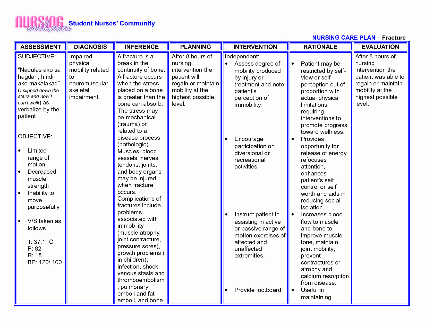 30-nursing-care-plan-example-document-template