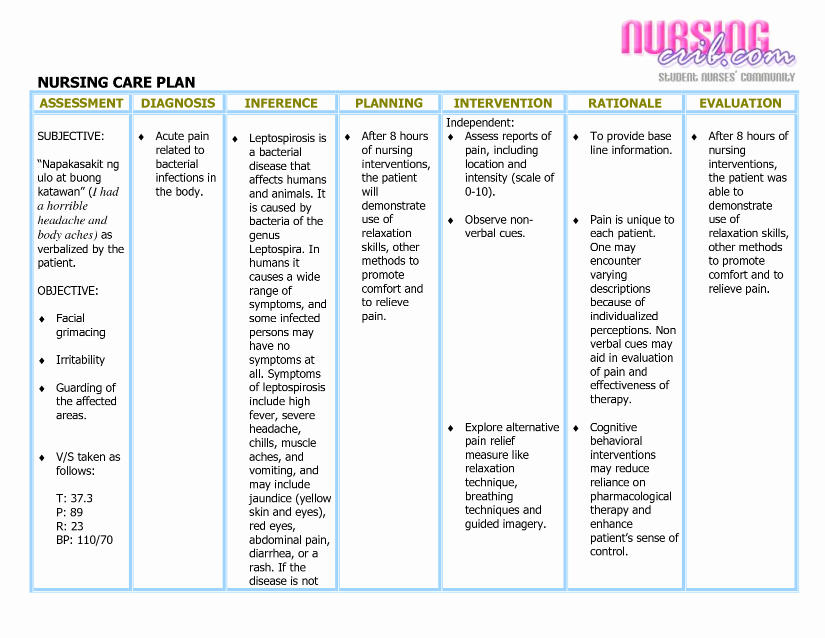 Nursing Care Plan Template Sample