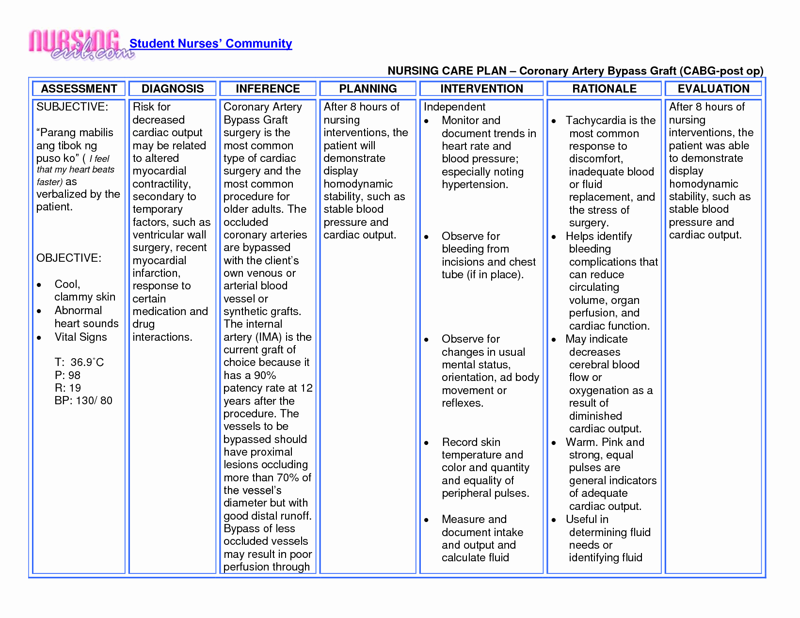 30 Nursing Care Plan Example Document Template
