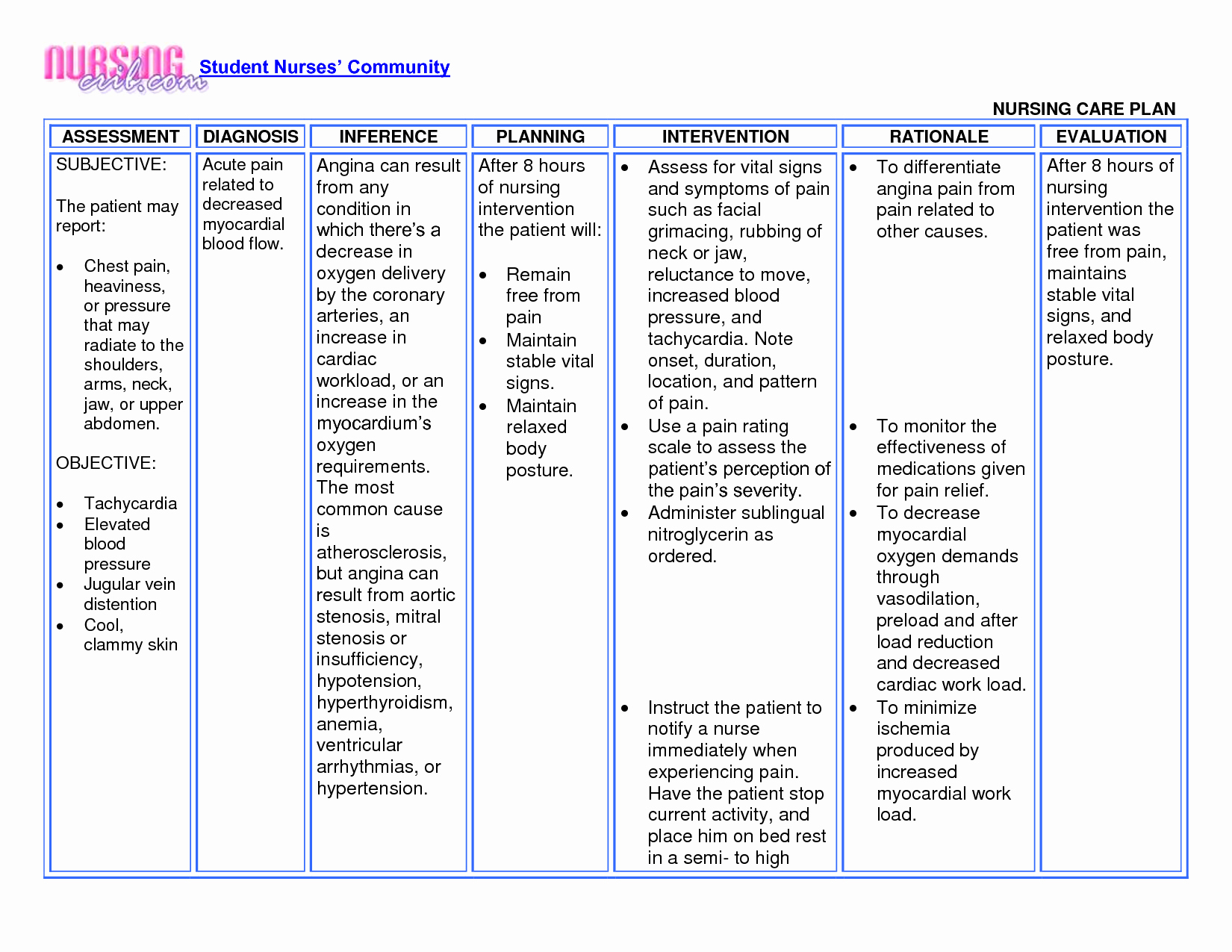 30 Nursing Care Plan | Example Document Template