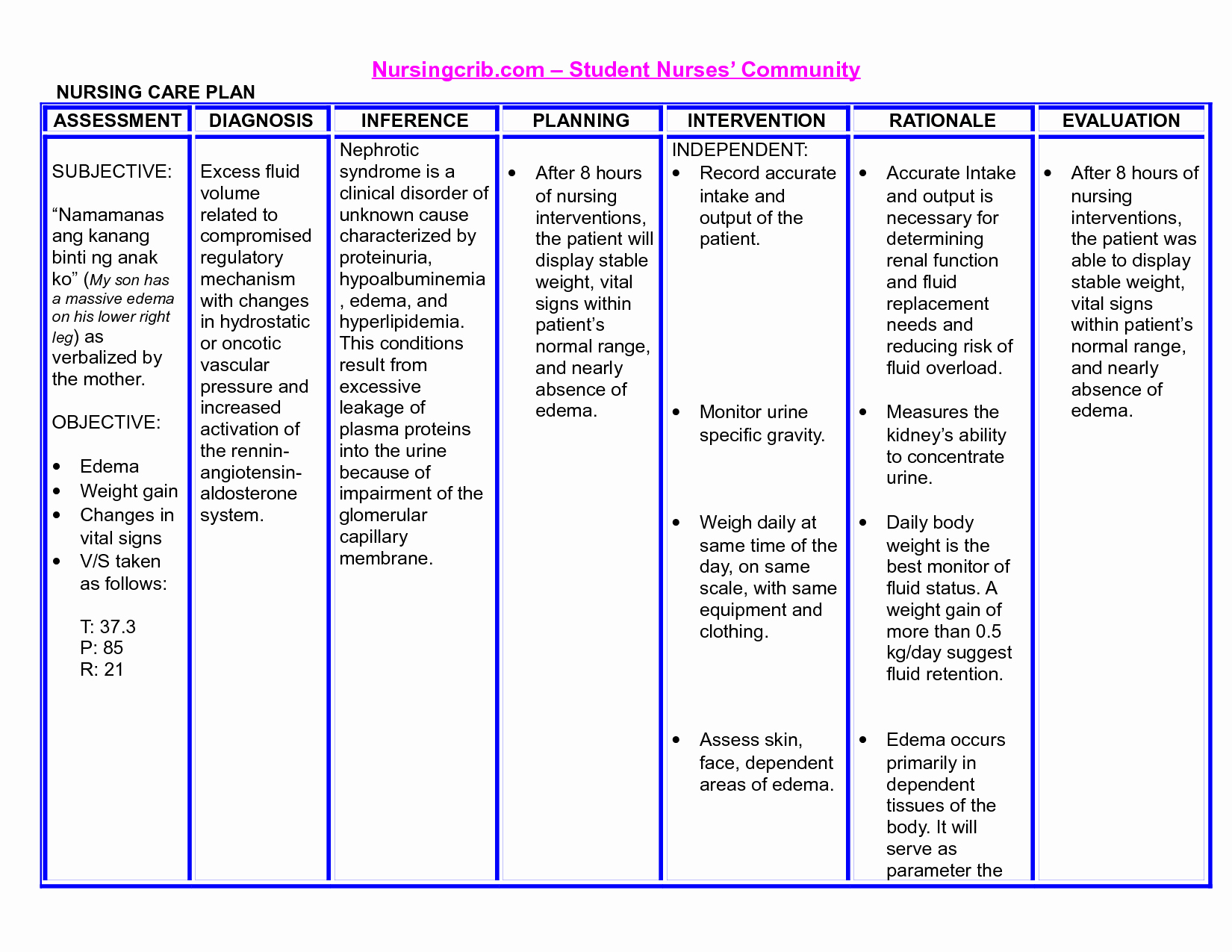 Nursing Diagnosis Care Plan Template